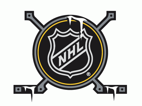 NHL Winter Classic 2011 Alternate Logo DIY iron on transfer (heat transfer)